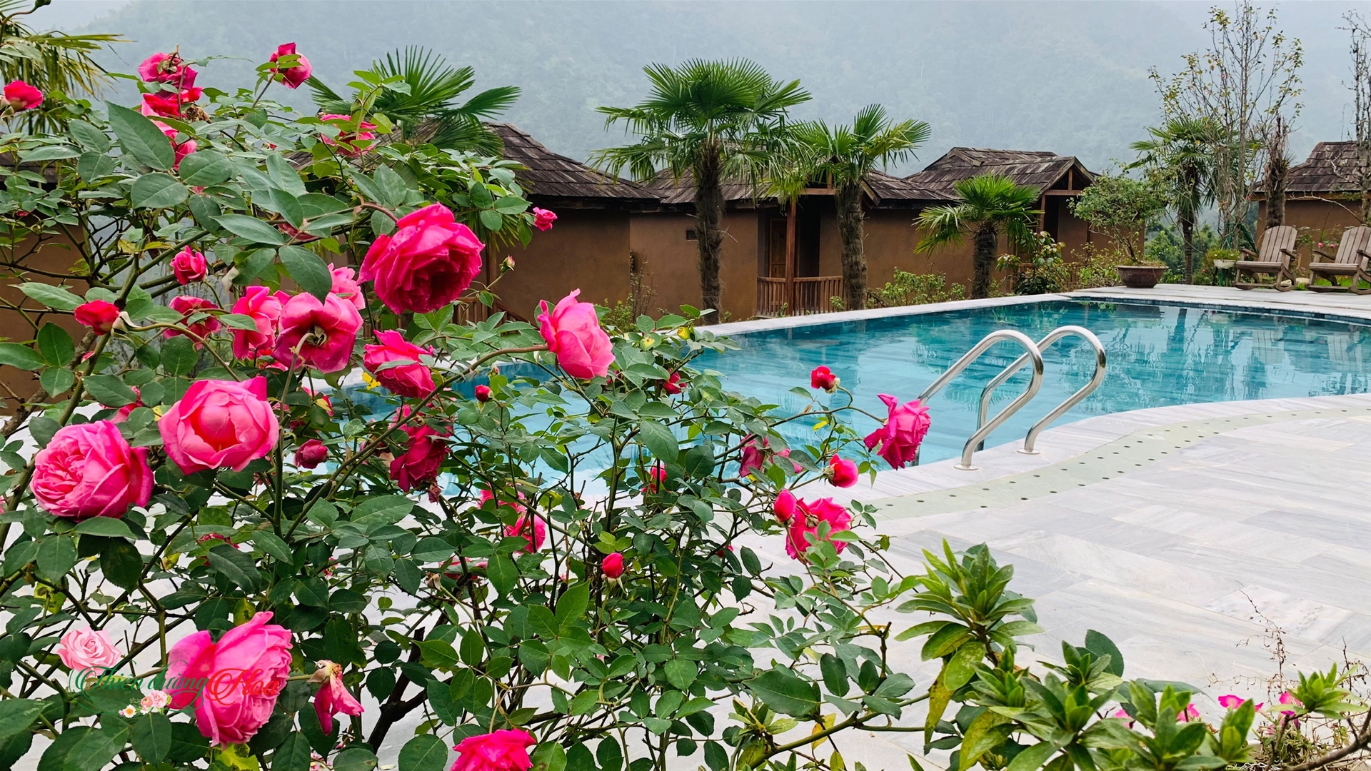 canh_quan_san_vuon_homestay